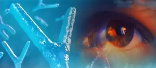  Y chromosome is disappearing