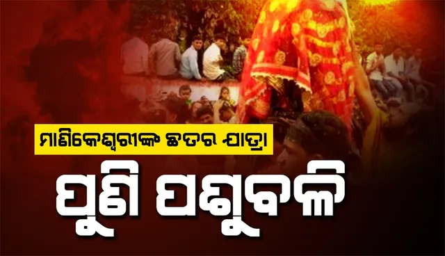 878ee73e-ca22-4b0f-b2d3-8399d39628e1