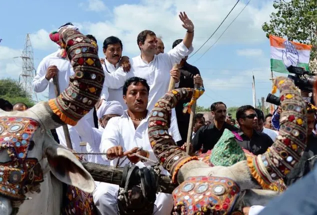 ଗୁଜରାଟରେ ରାହୁଲ, ର‍୍ୟାଲିସ୍ଥଳକୁ ଶଗଡ଼ରେ ଗଲେ