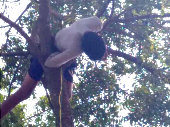 ବଡ଼ସାହି: ଦୁର୍ଗାପୂଜା ପାଇଁ ଟେଣ୍ଟ ବାନ୍ଧିିବା ବେଳେ ବିଦ୍ୟୁତ ଆଘାତରେ ଶ୍ରମିକଙ୍କ ମୃତ୍ୟୁ