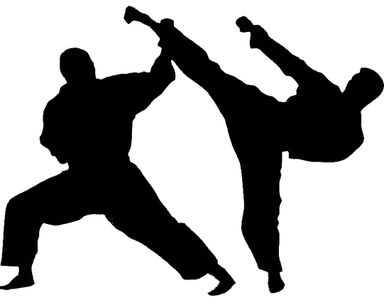 ରାଜ୍ୟ କରାଟେ ପ୍ରତିଯୋଗିତା ଆଜିଠୁ