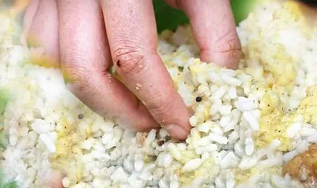 ବିଷାକ୍ତ ଖାଦ୍ୟ ଖାଇ ୮ ଅସୁସ୍ଥ