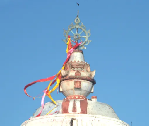 ଉଡ଼ିଗଲା ପତିତପାବନ ବାନା