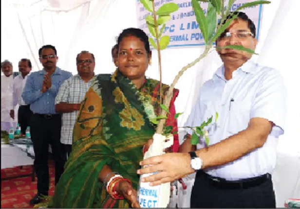 ପରିବେଶ ସୁରକ୍ଷା ପାଇଁ ଏନ୍‌ଟିପିସି ତତ୍ପର: ଇଡି