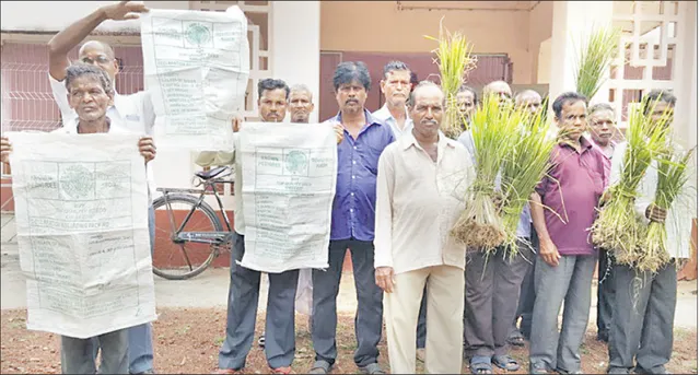 ଧାନ କେଣ୍ଡା ହେଲାନି, ଉପଜିଲ୍ଲାପାଳଙ୍କୁ ଅଭିଯୋଗ