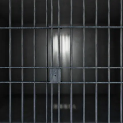 ମହିଳାଙ୍କୁ ଆକ୍ରମଣ, ୨ ଚୋର ଗିରଫ