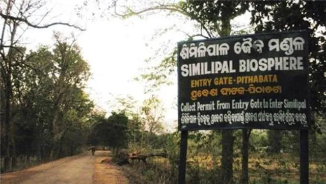 ଶିମିଳିପାଳରେ କେନ୍ଦ୍ରୀୟ ଟିମ୍‌