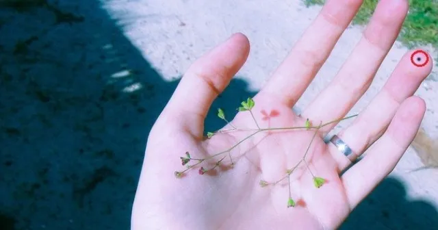 ବିଭିନ୍ନ ଆଙ୍ଗୁଠିରେ କଳାଜାଇ ଥିଲେ ଜାଣନ୍ତୁ କ’ଣ ଘଟିପାରେ ?