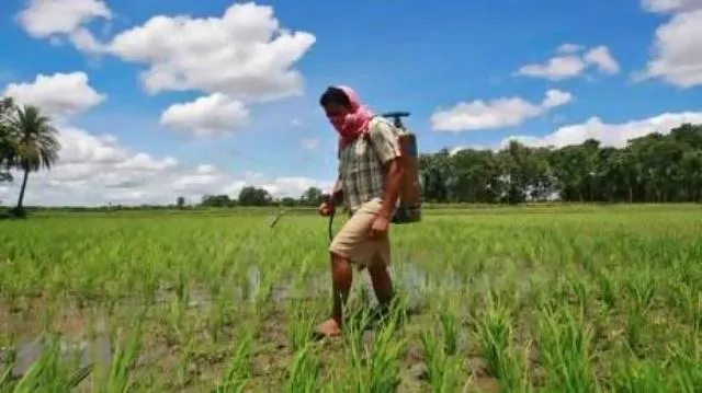 କୀଟନାଶକ ଶୁଙ୍ଘି ମହାରାଷ୍ଟ୍ରରେ ୧୮ କୃଷକ ମୃତ; ୪୦୦ ଡାକ୍ତରଖାନାରେ