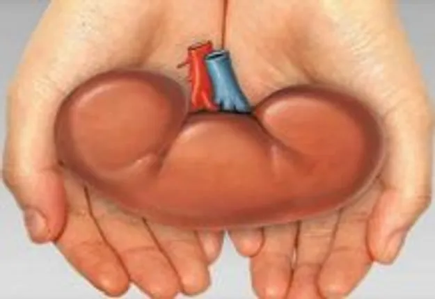 ପ୍ରେମ ପାଇଁ ଅନ୍ଧ ହେଲେ ମହିଳା: ପ୍ରେମିକଙ୍କୁ ବିବାହ ପାଇଁ କିଡନୀ ବିକିବାକୁ ପଛାଇଲେନି ପ୍ରେମିକା