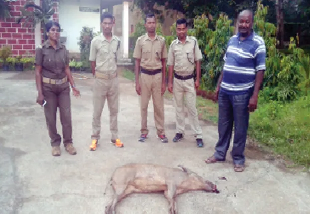 ମୃତ ବାର୍‌ହା ଉଦ୍ଧାର