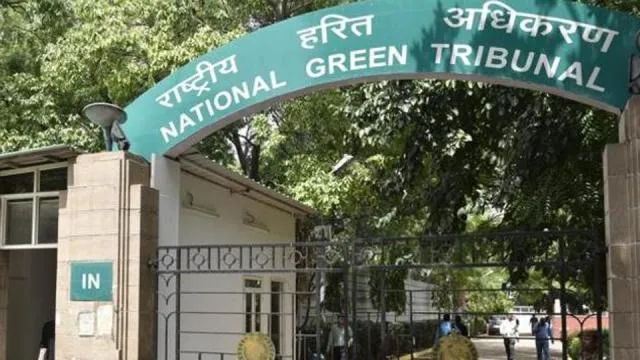 ବାଲିଯାତ୍ରାକୁ ଅନୁମତି ଦେଲେ ଏନ୍‌ଜିଟି