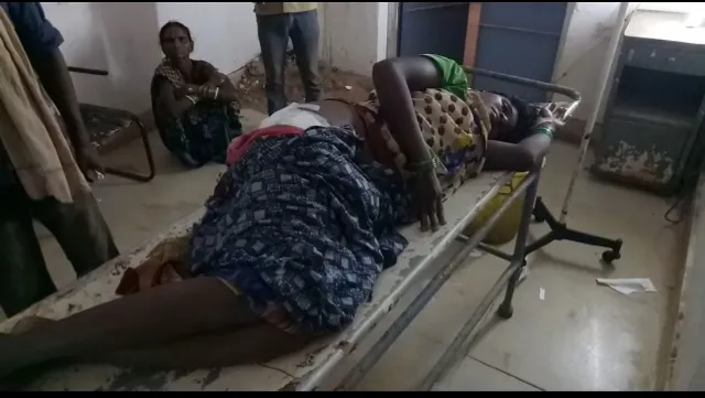 ପଦାରେ ଶୌଚ ହେବାକୁ ଯାଇଥିବା ମହିଳାଙ୍କୁ ଭାଲୁ ଆକ୍ରମଣ!