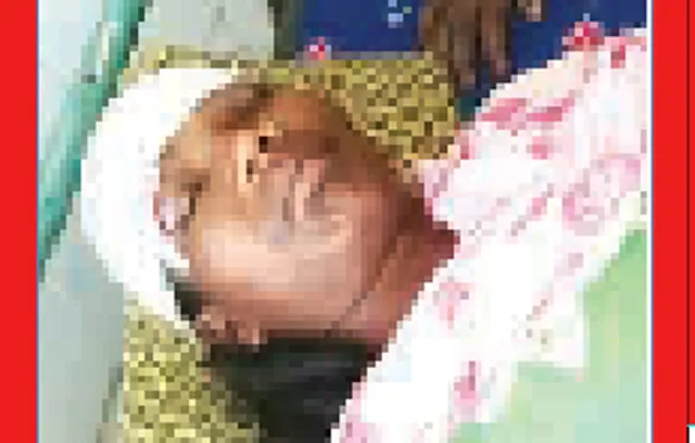 ଭାଲୁ ଆକ୍ରମଣରେ ଯୁବତୀ ଗୁରୁତର