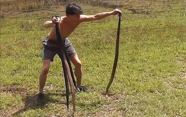 ଅନ୍‌ଲାଇନ୍‌ରେ ବନ୍ୟଜନ୍ତୁ ଶିକାରକୁ ପ୍ରୋତ୍ସାହନ