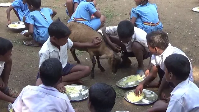 ଛେଳି ନ ଘଉଡ଼ିବାରୁ ପ୍ରଧାନ ଶିକ୍ଷକ ନିଲମ୍ବିତ