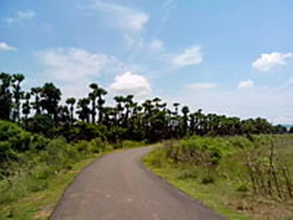 ଗାଁ ରାସ୍ତା ନେଇ ବିଧାନସଭାରେ ଅସନ୍ତୋଷ: ଉଭୟ ସରକାରୀ ଓ ବିରୋଧୀ ସଭ୍ୟ ଗର୍ଜିଲେ