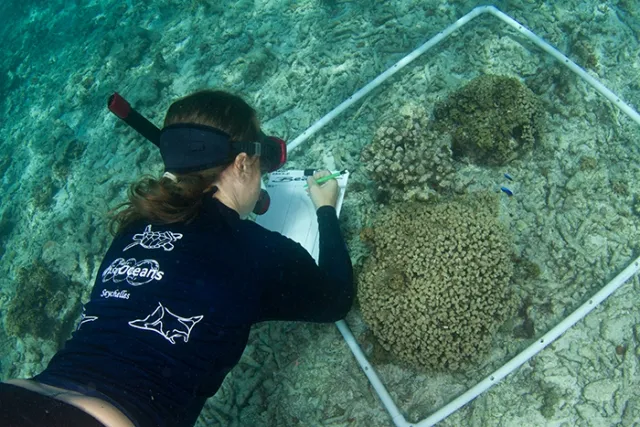 ମେରାଇନ୍‌ କଂଜରଭେସନିଷ୍ଟ ହେବାକୁ ଚାହାଁନ୍ତି କି?