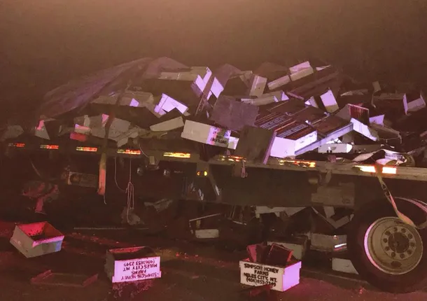 ଉତ୍ତର କାଲିଫର୍ଣ୍ଣିଆରେ ଟ୍ରକ୍‌ ଦୁର୍ଘଟଣା କାରଣରୁ ୧ ନିୟୁତ ମହୁମାଛି ମୃତ