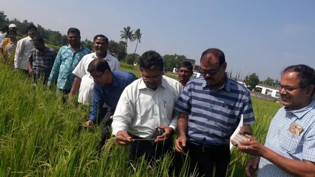 ଜଉପୋକ କ୍ଷୟକ୍ଷତିି ଅନୁଧ୍ୟାନ କଲେ କୃଷି ବିଶେଷଜ୍ଞ