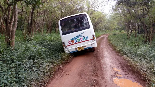 ସିଂହଙ୍କ ମେଳରେ ଅଧଘଣ୍ଟା