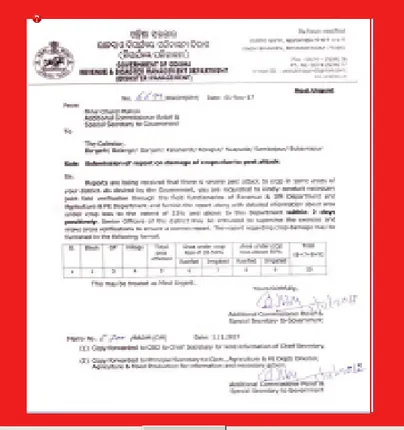 ମରୁଡ଼ି ପରେ ଚକଡ଼ା ଭୟ:କ୍ଷୟକ୍ଷତି ରିପୋର୍ଟ ଦେବାକୁ ନିର୍ଦେଶ