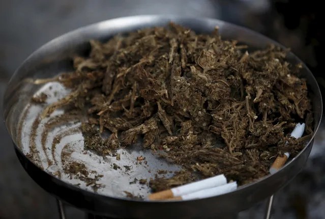 ୧.୬୮ କୁଇଣ୍ଟାଲ ଗଞ୍ଜେଇ ଜବତ, ୨ ଗିରଫ