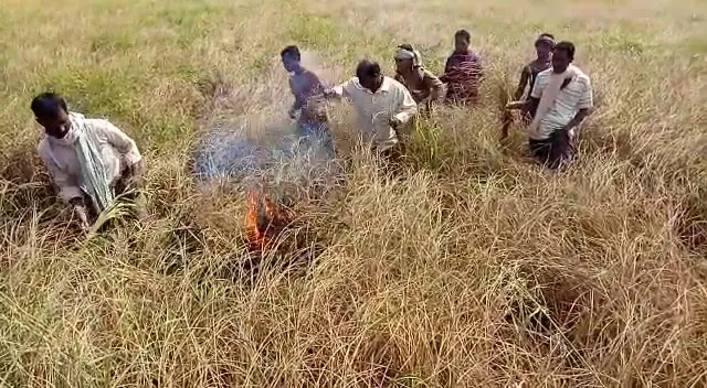 କେନ୍ଦ୍ରମନ୍ତ୍ରୀଙ୍କ ସମାଲୋଚନା, ସଚିବଙ୍କ ପ୍ରଶଂସା