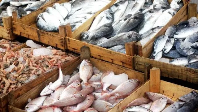 ଆଜି ଜମିବ ଛାଡ଼ଖାଇ