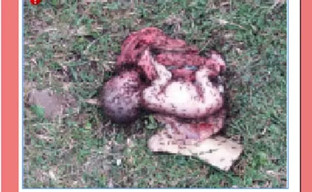 ନବଜାତକର ଶବ ଉଦ୍ଧାର