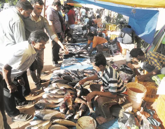 ଆମିଷ ହାଟରେ ଛାଡ଼ଖାଇ ମେଳା