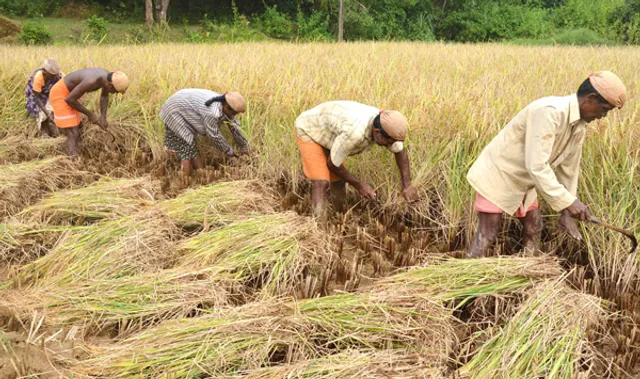 ସରକାର ଚାଷୀଙ୍କୁ ବୁଝାନ୍ତୁ