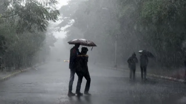 ଚକଡ଼ା ପରେ ବର୍ଷା; ଚିନ୍ତାରେ ଚାଷୀ