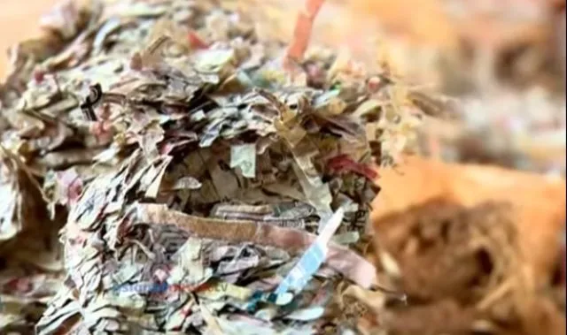 ୭୫୦ ଟନ୍‌ ଓଜନର ନୋଟ୍‌କୁ କିଣିବ ଦକ୍ଷିଣ ଆଫ୍ରିକା, ବ୍ୟବହାର କରିବ ନିର୍ବାଚନରେ !