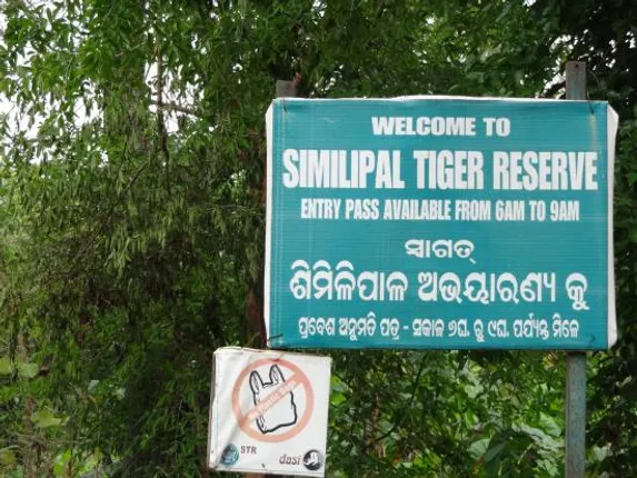 ଆଜିଠୁ ଖୋଲିବ ଶିମିଳିପାଳ ଜାତୀୟ ଉଦ୍ୟାନ