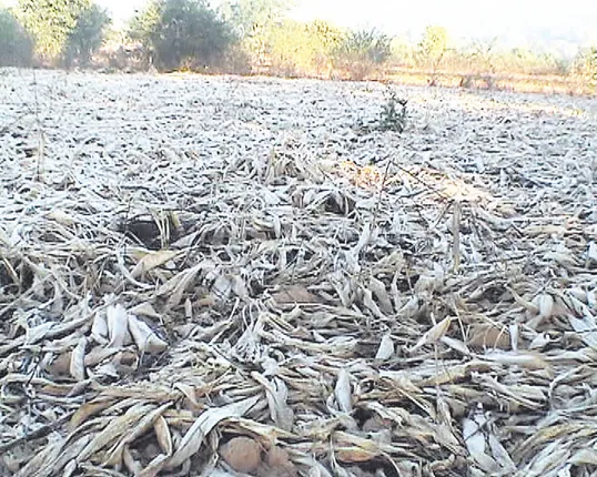 ବେଲଘରରେ ତୁଷାରପାତ