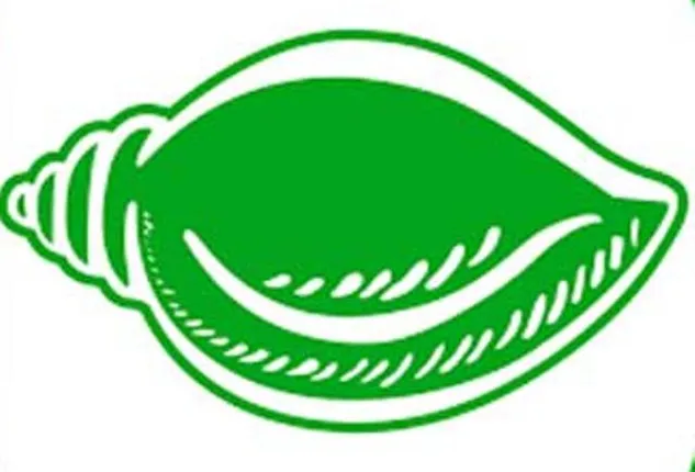 ବିଲ୍‌ରେ ବିରୋଧାଭାସ ରହିଛି: ବିଜେଡି