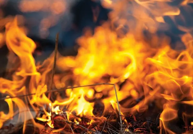 ପାଗଳ ପୁଅର ନାରକୀୟ କାଣ୍ଡ : ମା’ଙ୍କୁ ମାରି ଜାଳି ଦେଲା