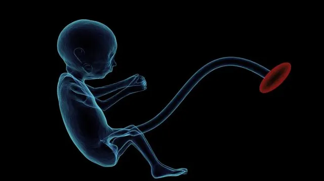 ଜନ୍ମ ହେବା ପରେ ପିଲାଟି ମରିଯିବ ଜାଣି ସୁଦ୍ଧା ତାର ଅଙ୍ଗଦାନ କରିବା ପାଇଁ ପିଲାକୁ ଜନ୍ମ ଦେବେ ବୋଲି କହିଲେ ମହିଳା!