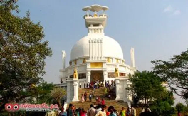 ଚାଲ କରିବା ବଣଭୋଜି