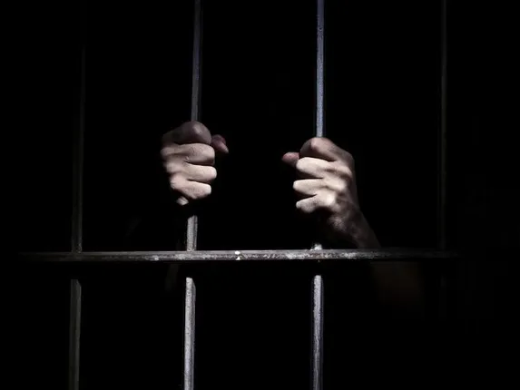 ବଡ଼ଭାଇକୁ ହତ୍ୟା ଅପରାଧରେ ସାନ ଭାଇକୁ ଆଜୀବନ କାରାଦଣ୍ଡ