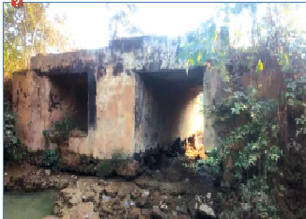 ଆମ୍ବଦରହକୁ ବିପଜ୍ଜନକ ପୋଲ