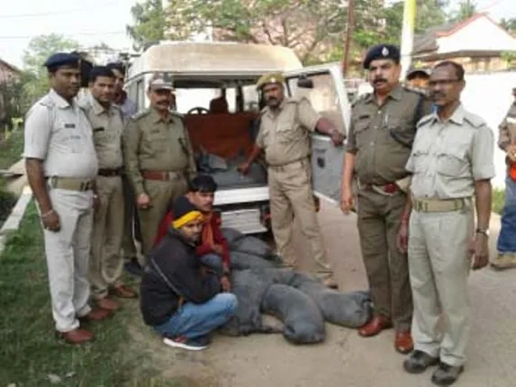 ୮୫୦ ଲିଟର ମଦ ଜବତ, ୫ ଗିରଫ