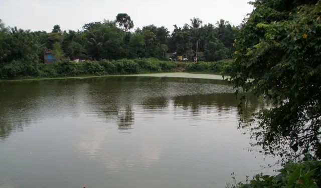 ଭୁବନ: ପୋଖରୀରେ ଭାସୁଛି ଚାରି ପାଞ୍ଚ ମାସର ଭ୍ରୁଣ!