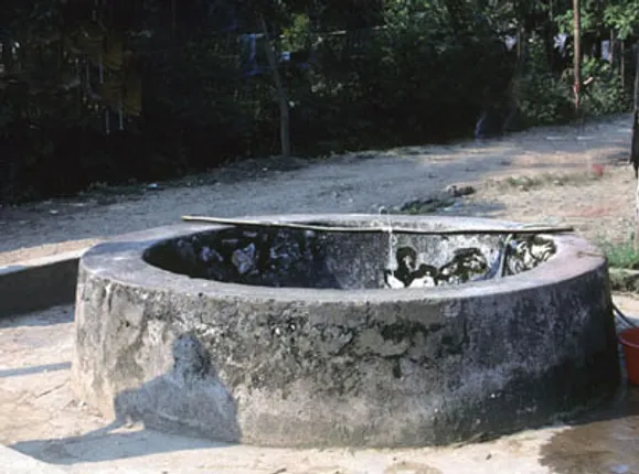 ପରିତ୍ୟକ୍ତ କୂଅରୁ ୪ ବଳଦ ଉଦ୍ଧାର