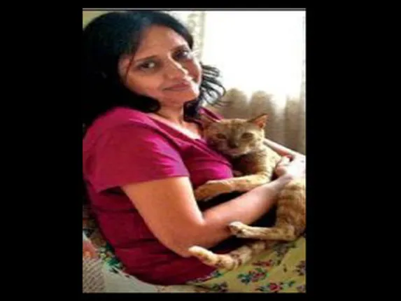 ୫୬ଟି ପୋଷା ବିଲେଇକୁ ଫେରି ପାଇବା ପାଇଁ ହାଇକୋର୍ଟରେ ଆବେଦନ କଲେ ମହିଳା