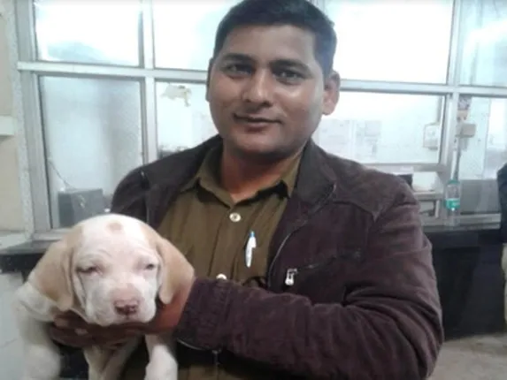 ବିନା ଟିକିଟ୍‌ରେ ରେଳଯାତ୍ରା କରିଥିବା କୁକୁରଛୁଆକୁ ଜରିମାନା