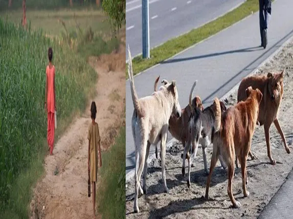 ଶୌଚ ହେବାକୁ ଯାଇଥିବା ନାବାଳିକାଙ୍କ କୁକୁର କାମୁଡାରେ ମୃତ୍ୟୁ