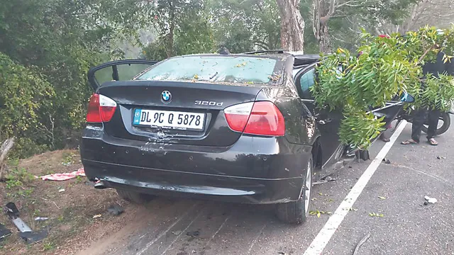 ମିଳିଲା କୁକୁର, ଫିଟୁନି ରହସ୍ୟ