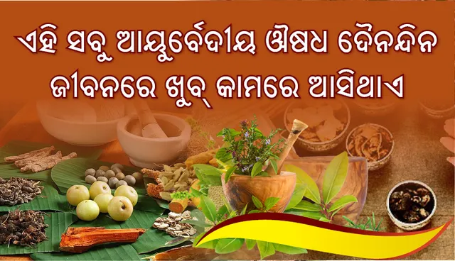 ଏହି ସବୁ ଆୟୁର୍ବେଦୀୟ ଔଷଧ ଦୈନନ୍ଦିନ ଜୀବନରେ ଖୁବ୍‌ କାମରେ ଆସିଥାଏ